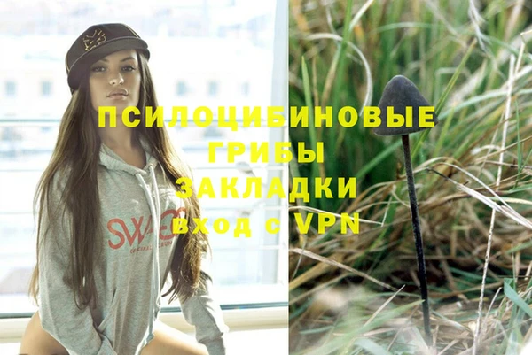 спайс Алексеевка