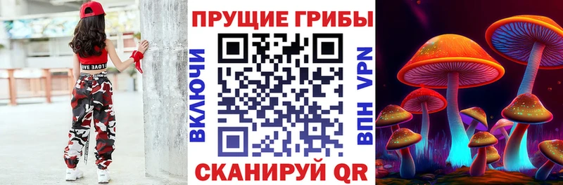 Галлюциногенные грибы мицелий  купить наркотики сайты  Котельники 